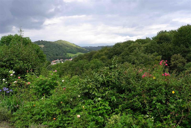 Gîte de la vigne vierge