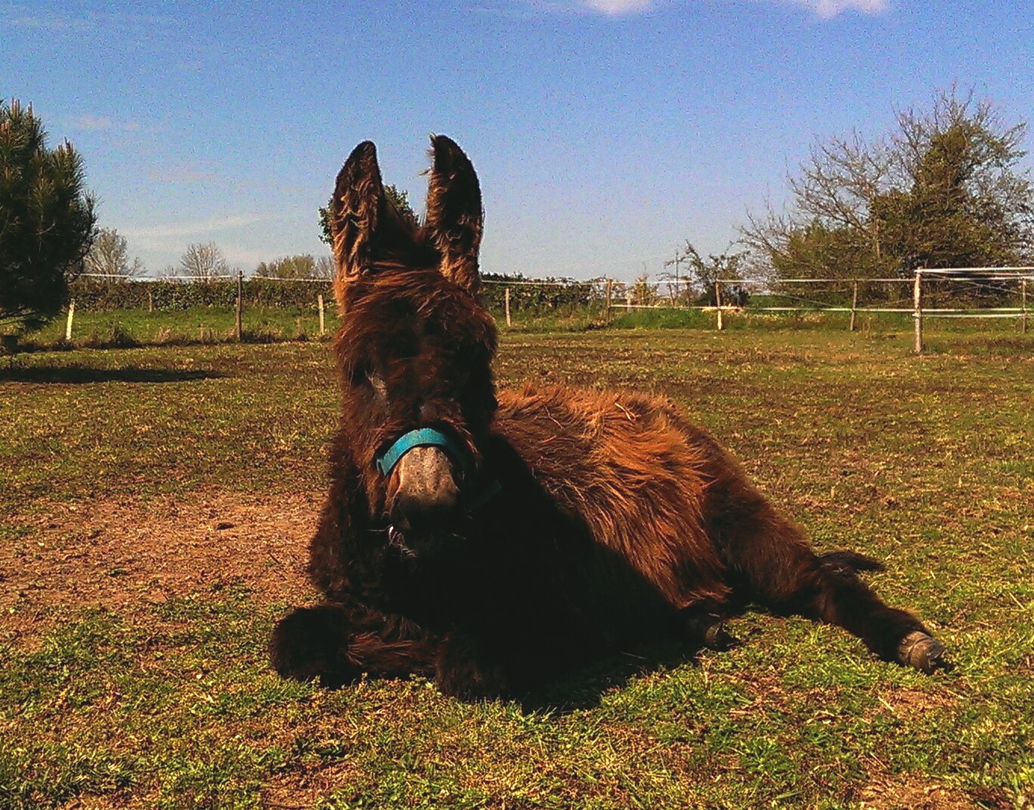 Chambre d'hôtes Aux Deux Chèvres, Clessé - photo 2