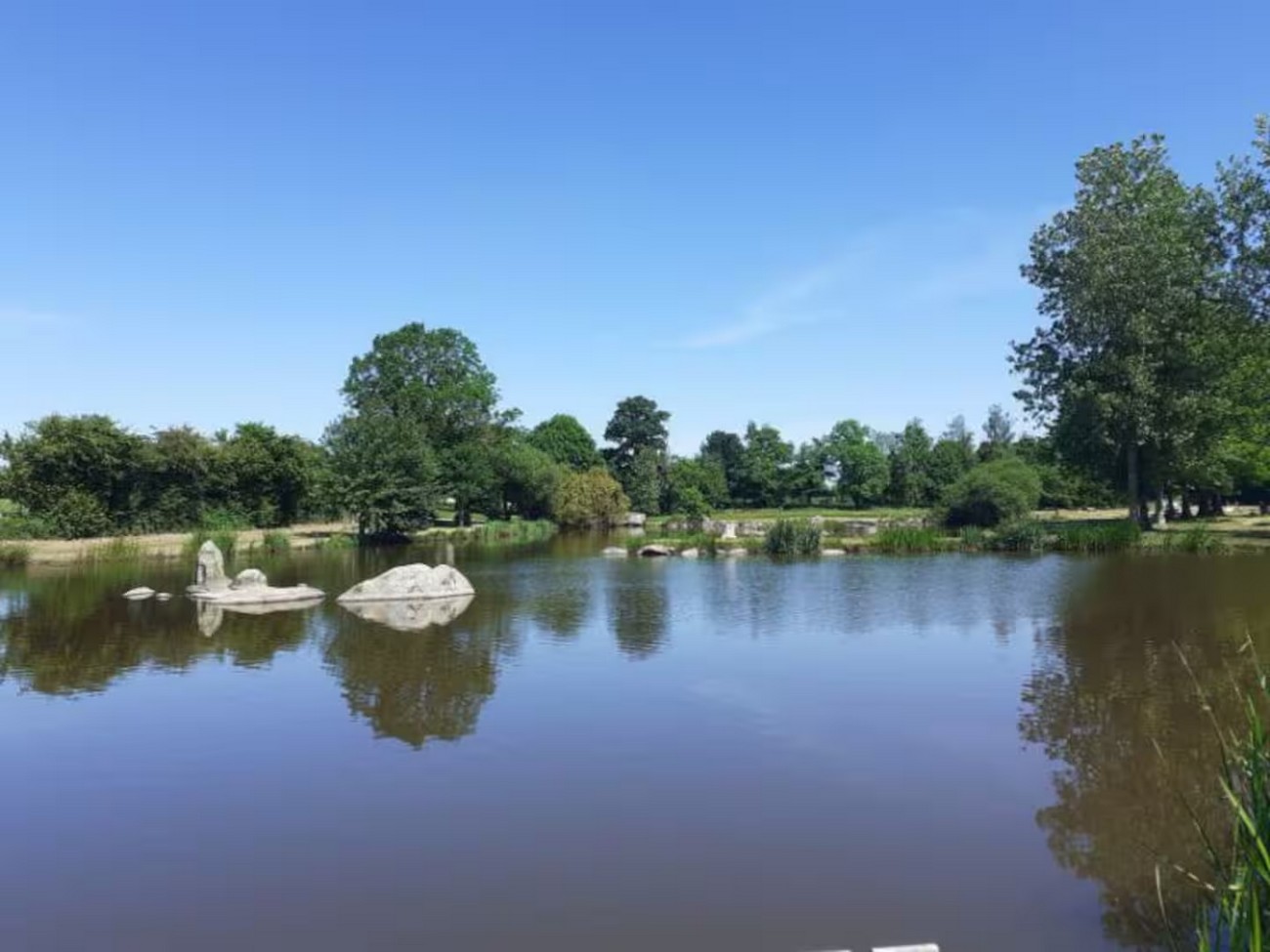Au gîte de Belle Planche, Clessé - photo 4