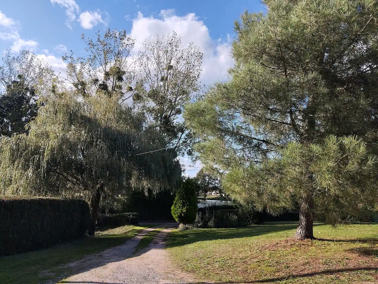 Gîte La Louisière, Clessé - photo 9