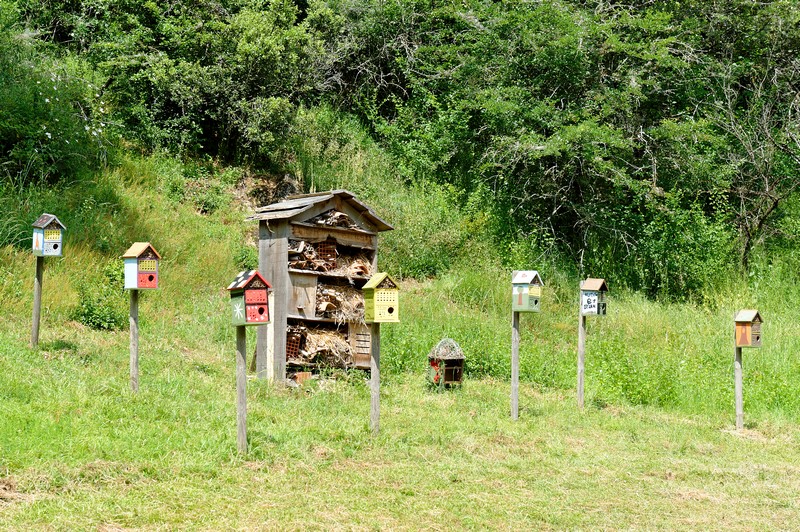 Clos de l'Oncle Georges, Argentonnay - photo 3