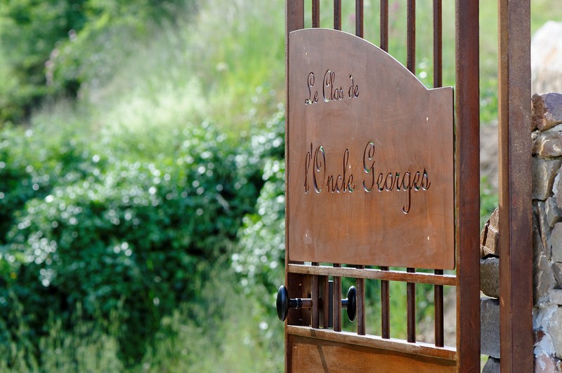 Clos de l'Oncle Georges, Argentonnay - photo 9