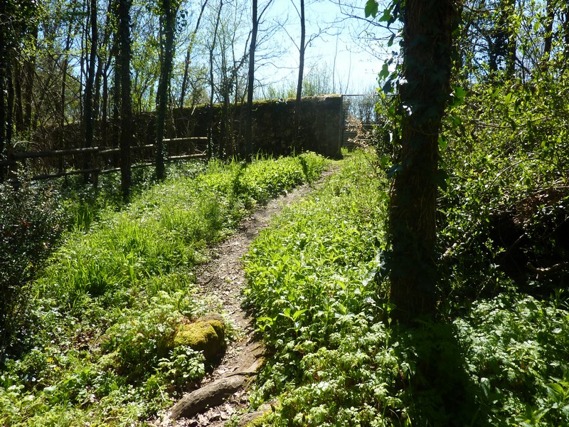Clos de l'Oncle Georges, Argentonnay - photo 8