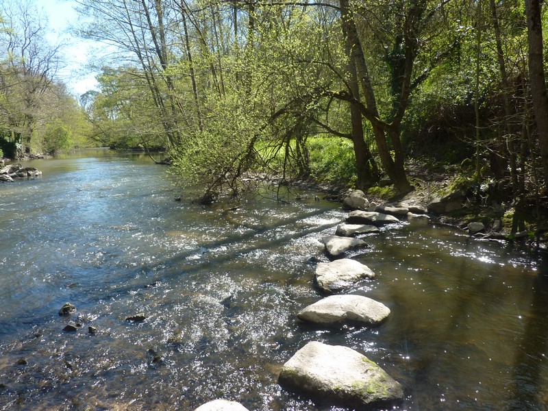 Clos de l'Oncle Georges, Argentonnay