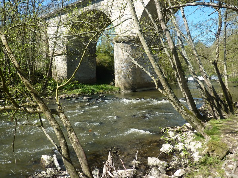 Clos de l'Oncle Georges, Argentonnay - photo 2