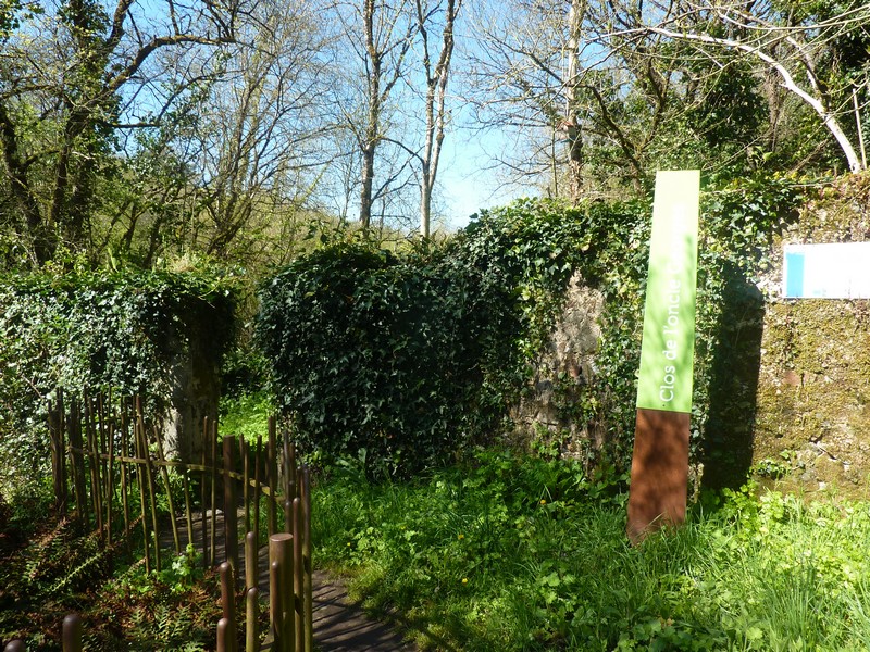 Clos de l'Oncle Georges, Argentonnay - photo 4