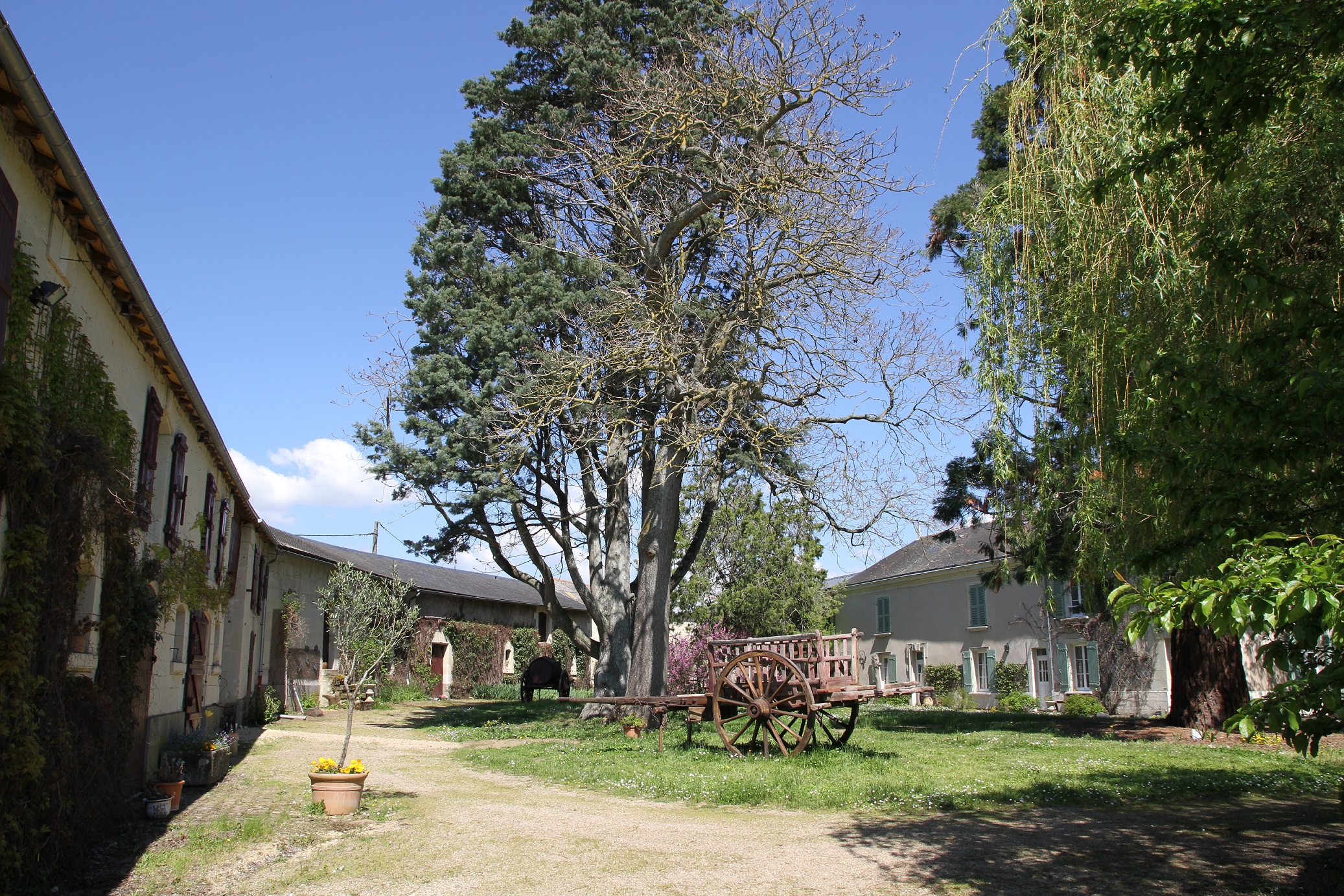 Le clos des écureuils, Loretz-d'Argenton - photo 10