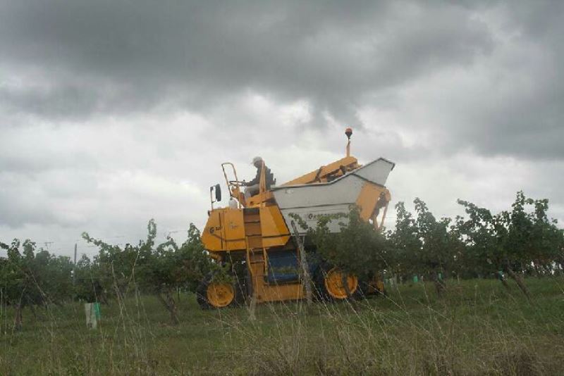 Clos Jacanicol - photo 2