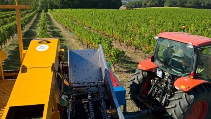 Clos Jacanicol - photo 5