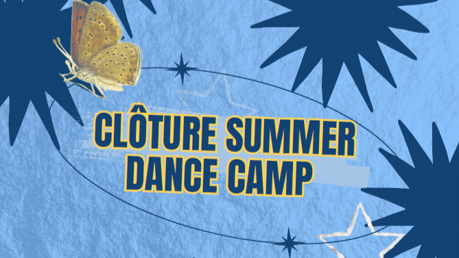 Clôture Summer Dance Camp