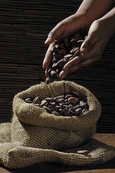 Chocolaterie-Pâtisserie Pons