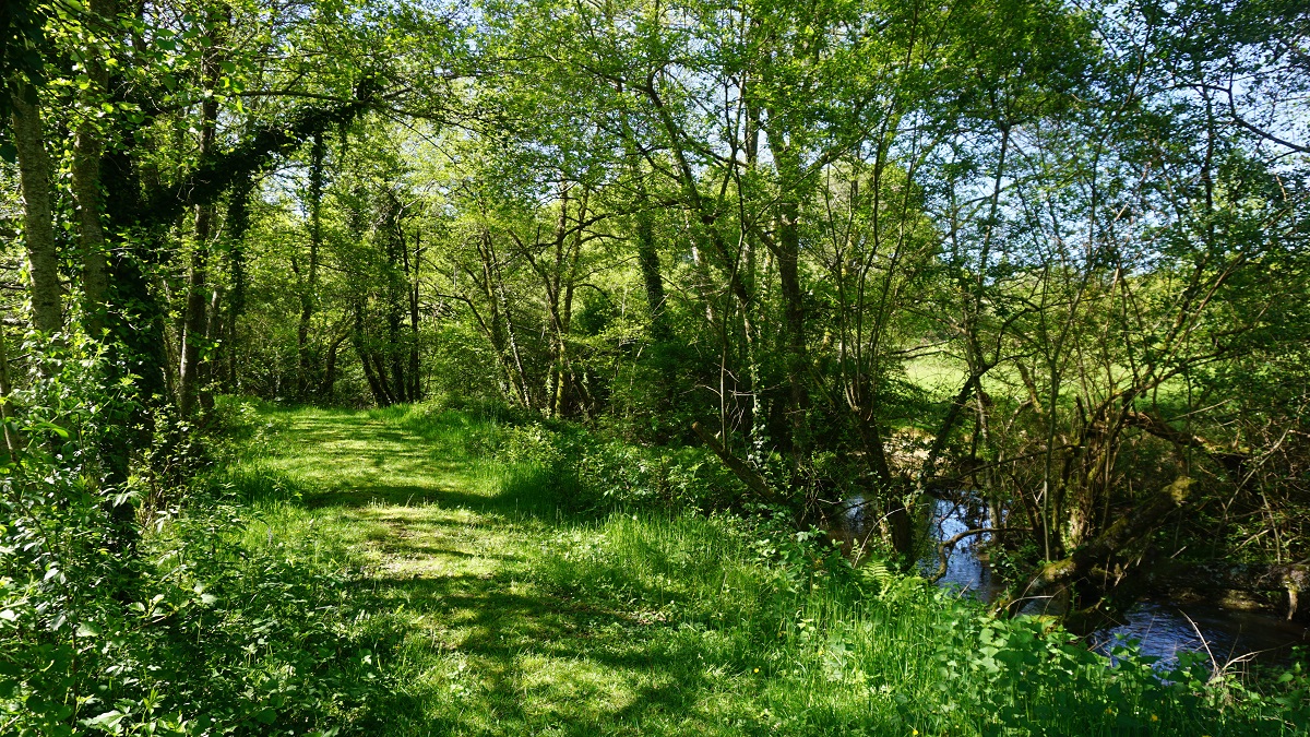 Camping & Guinguette du Touroulet - Cocon des Canailles, Chalais - photo 8