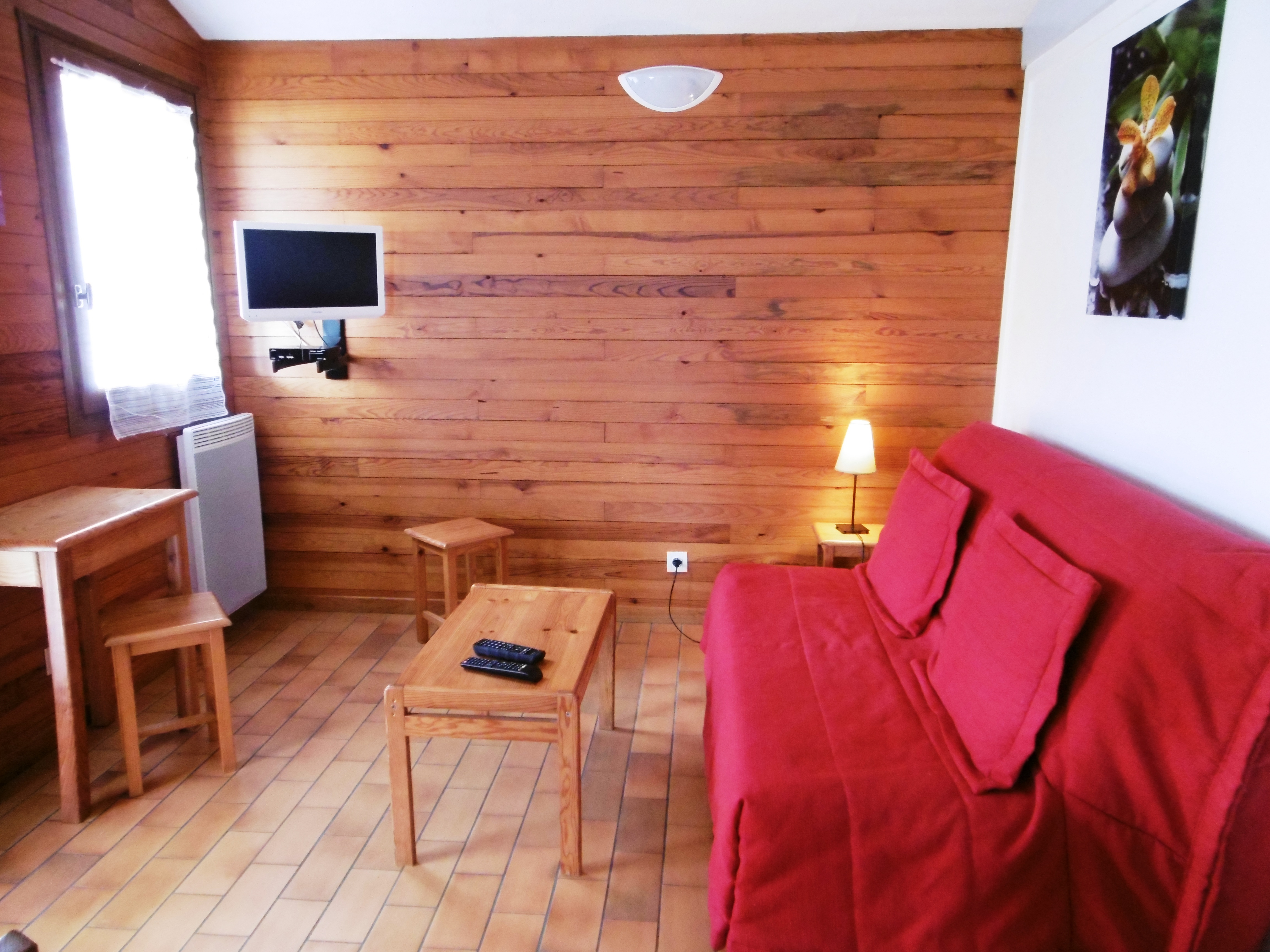 Les Droséras - photo 3