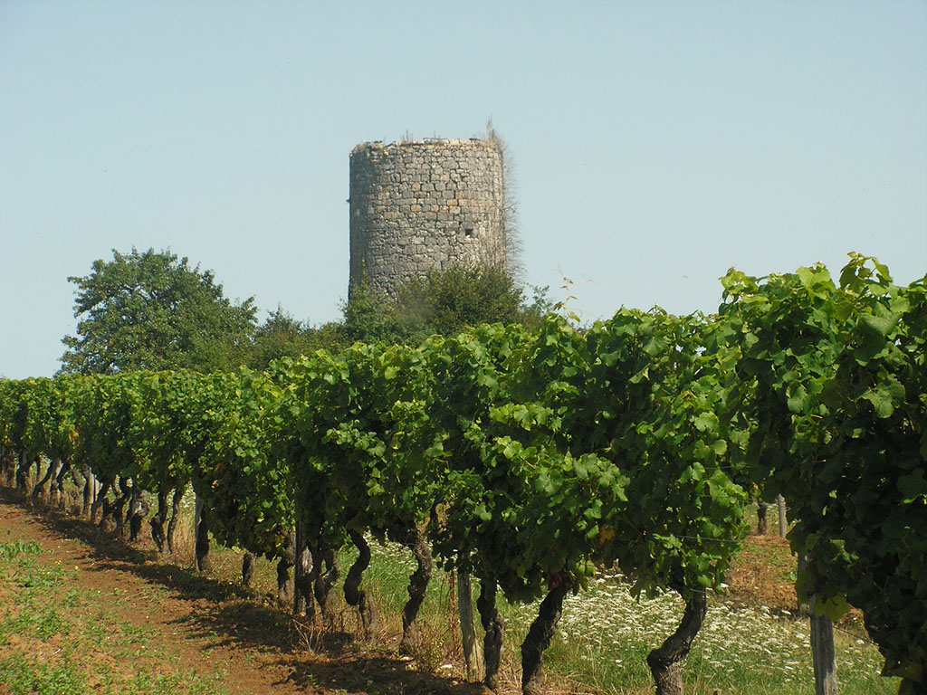 A vélo autour de Monbazillac, Monbazillac - photo 3