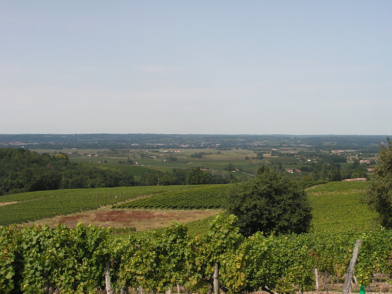 Boucle des deux moulins - Colombier, Colombier - photo 4