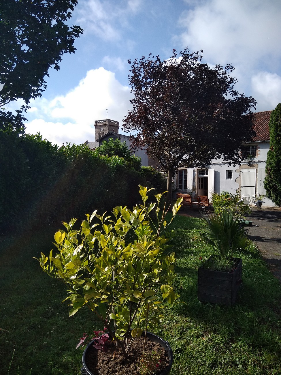 Chambre d'hôtes Les Clés du Parc, Combrand - photo 8