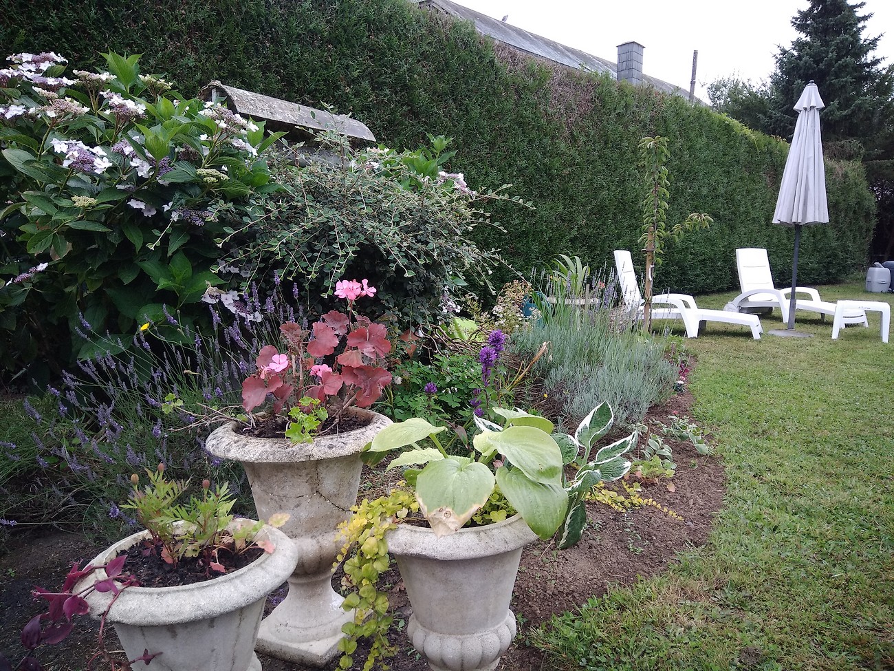 Chambre d'hôtes Les Clés du Parc, Combrand - photo 12