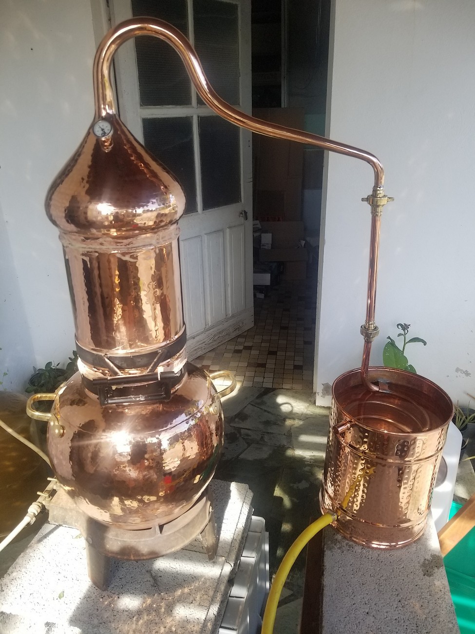 GAEC La Ferme au l'Ouin / Ô lueurs d'Aubépine