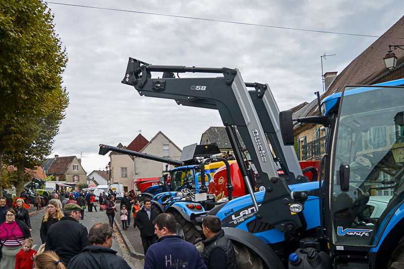 Comice agricole, Lanouaille - photo 5