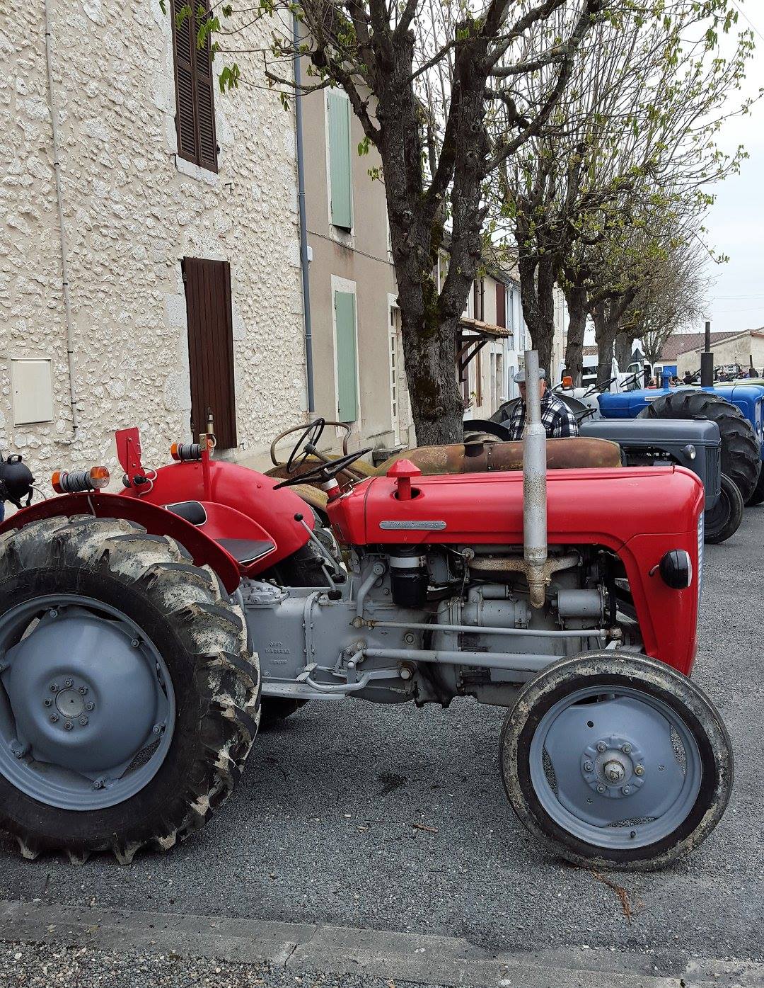 Comice agricole de Castillonnès, Castillonnès