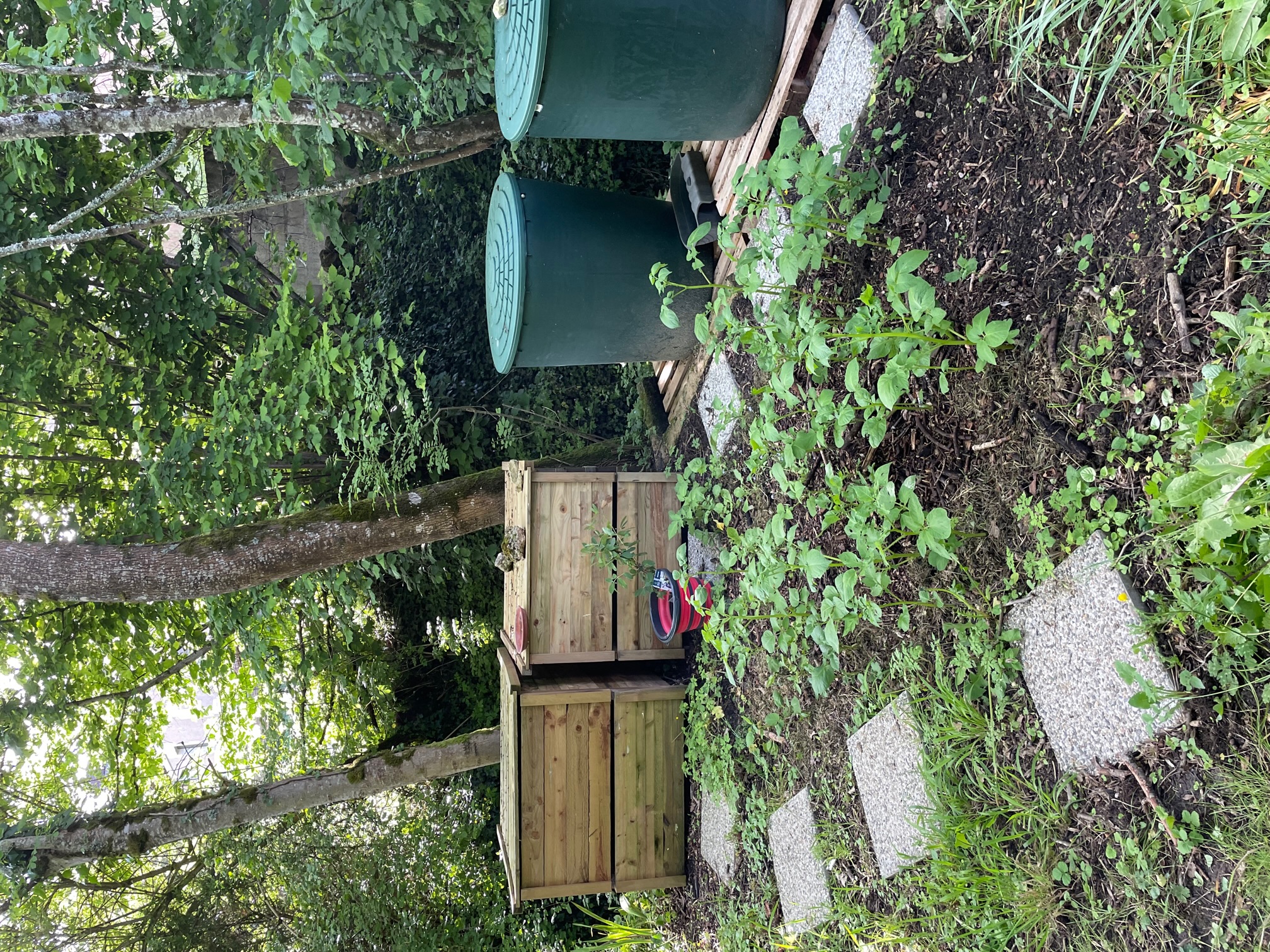 Les apparts de Céline - Rez-de-Chaussée, La Roche-Posay - photo 24