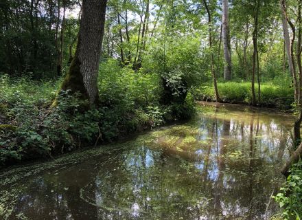 Géocaching Tèrra-Aventura : "Flamme bleue en Venise Verte" - photo 3