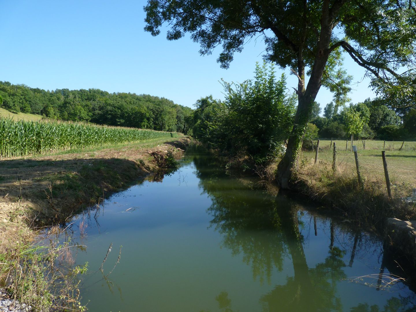 Moulin de Sabathier, Conchez-de-Béarn - photo 3