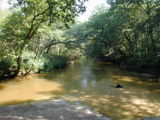 Lugos : sur les traces du Vieux Lugo, Lugos - photo 4