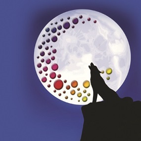 Chantons sous la lune – 2èmes Sélections