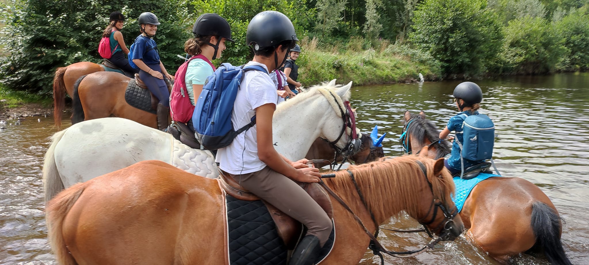 Les Écuries de Cordelas, centre équestre et pensions Limoges