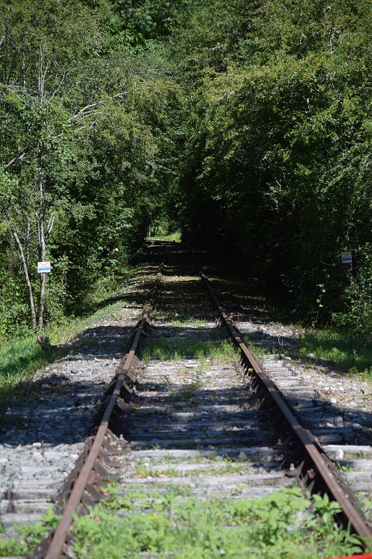 Boucle de Puyfébert, Corgnac-sur-l'Isle