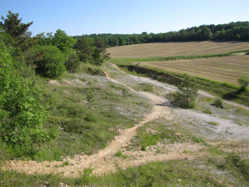 Les Pelouses sèches, Paussac-et-Saint-Vivien - photo 2