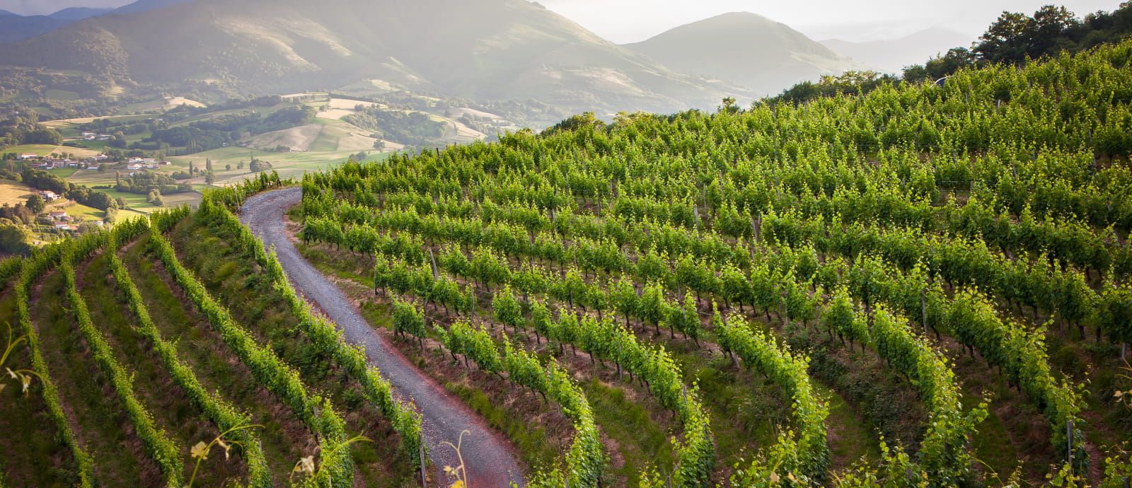 Fêtes de village : hypnotiseur-Los piquillos-talo, Irouléguy - photo 3