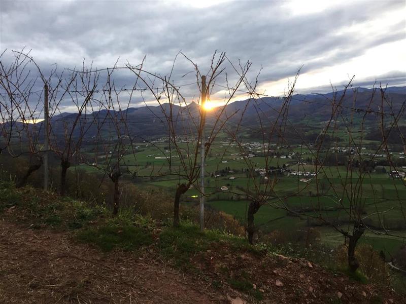 Domaine Apatia