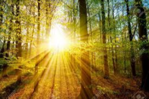 Concours photo 2026 : Impression soleil levant ou couchant