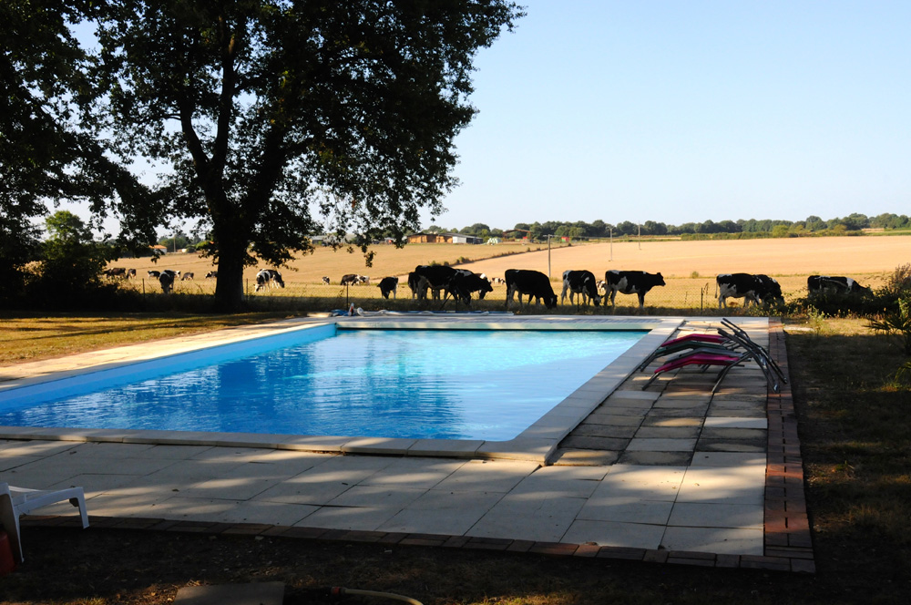 Le Gite de La Kimandière, Coulombiers - photo 5