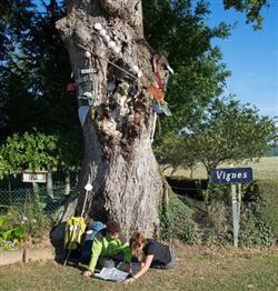couple de pélerins faisant un point carto à Vignes©CDT64-P.Gaillard bdef