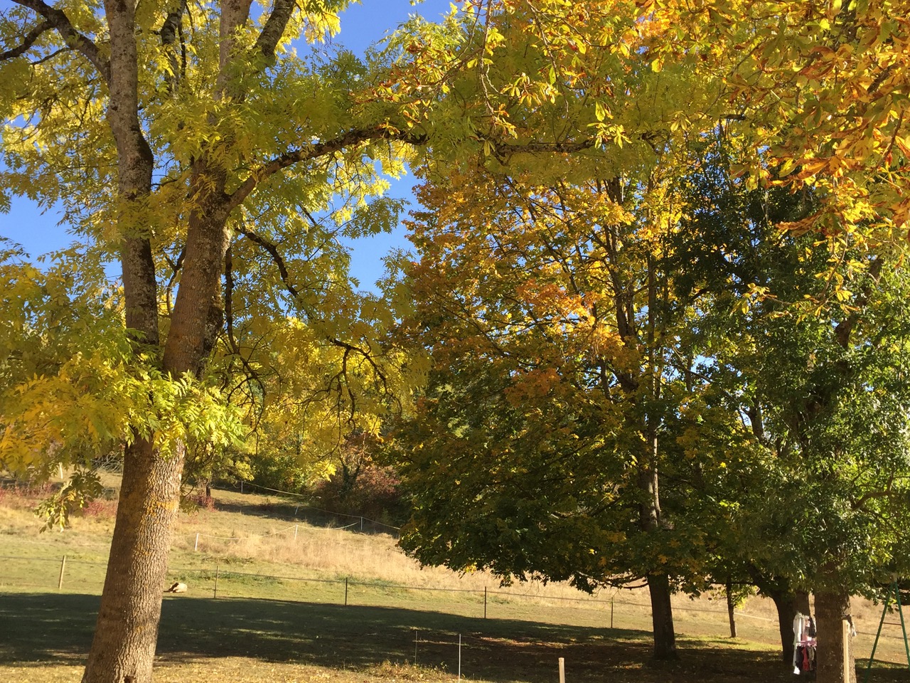 Gîte Nature du Domaine de Puy Le Comte, Montamisé - photo 9