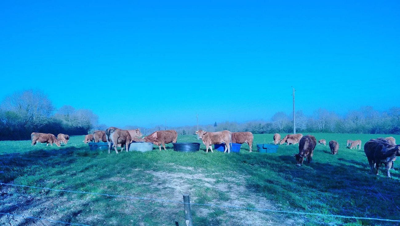Ferme du Sourdis