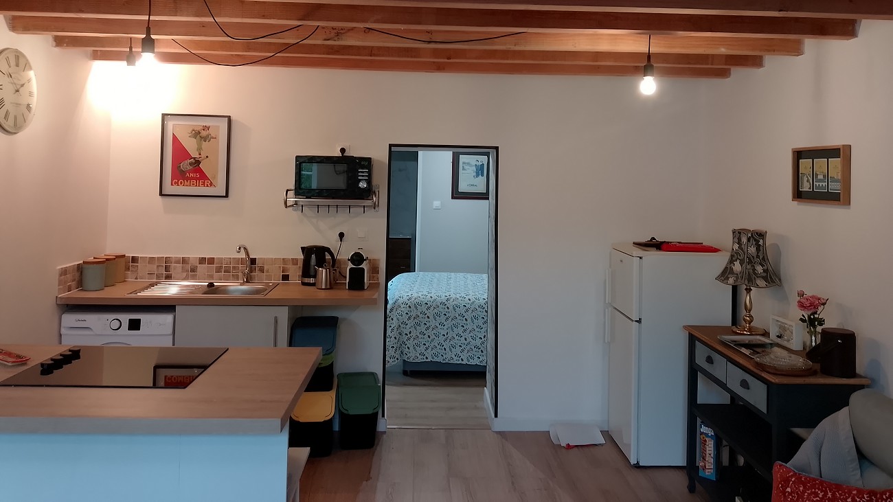 Le Petit Gîte du Roy, Courlay - photo 8