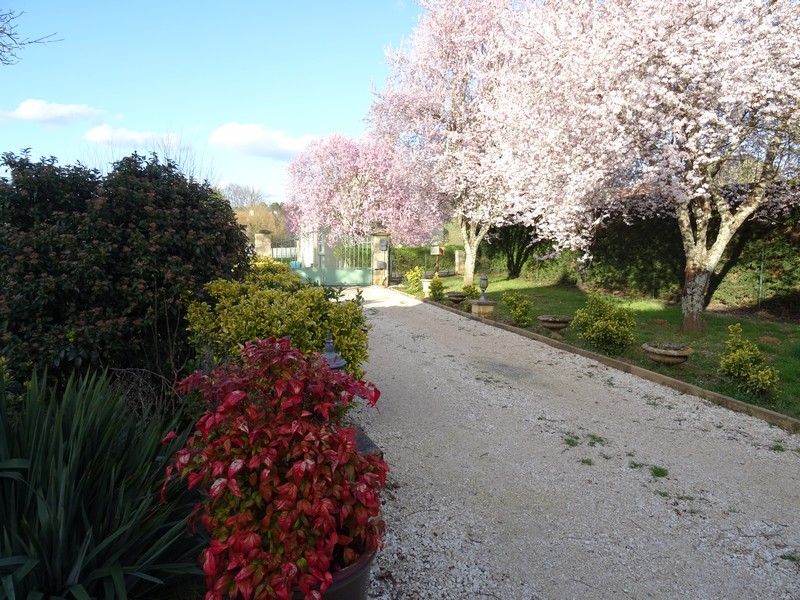 Madame Fabienne COURNIL - photo 5