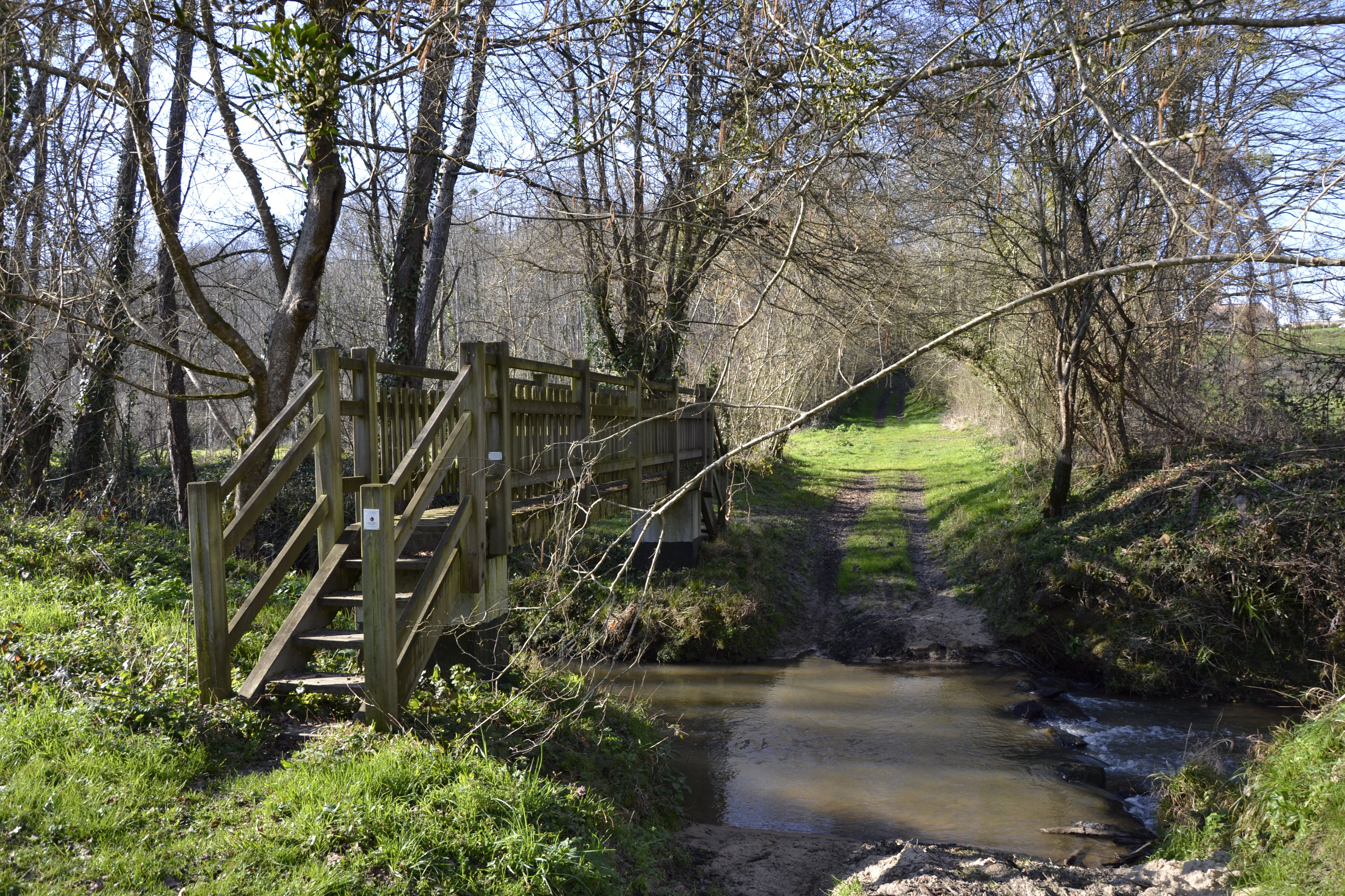 Boucle de la Bassanne - photo 2