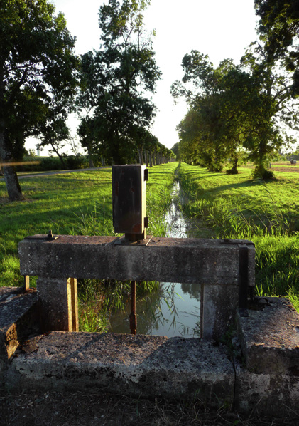 De l'estuaire à la vigne : Boucle de Saint-Julien-Beychevelle - photo 2