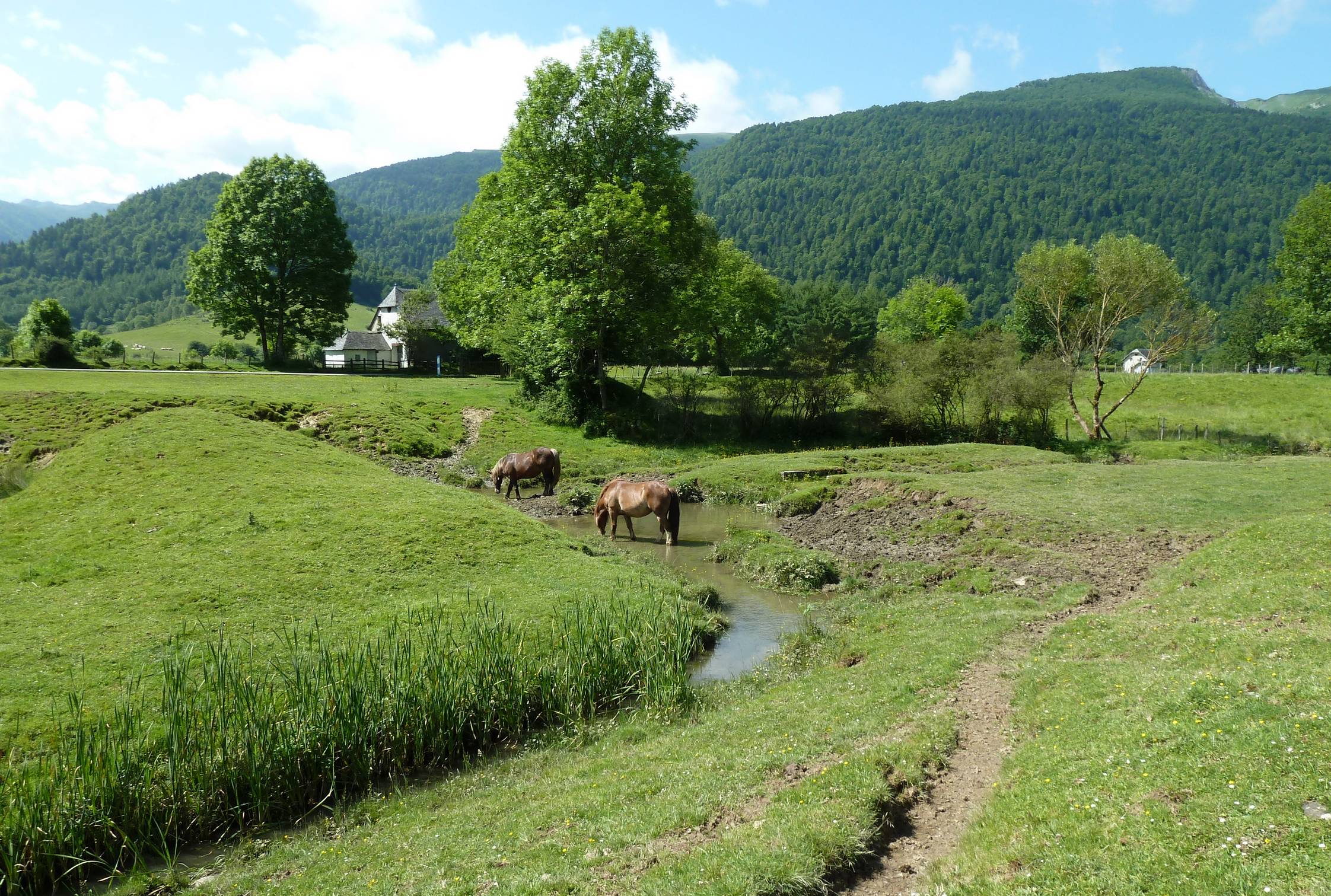 Balade à Roulettes N°20 Le Bénou à Bilhères-en-Ossau
