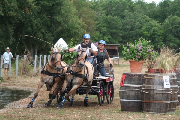 Centre équestre Les Ecuries du Rosier