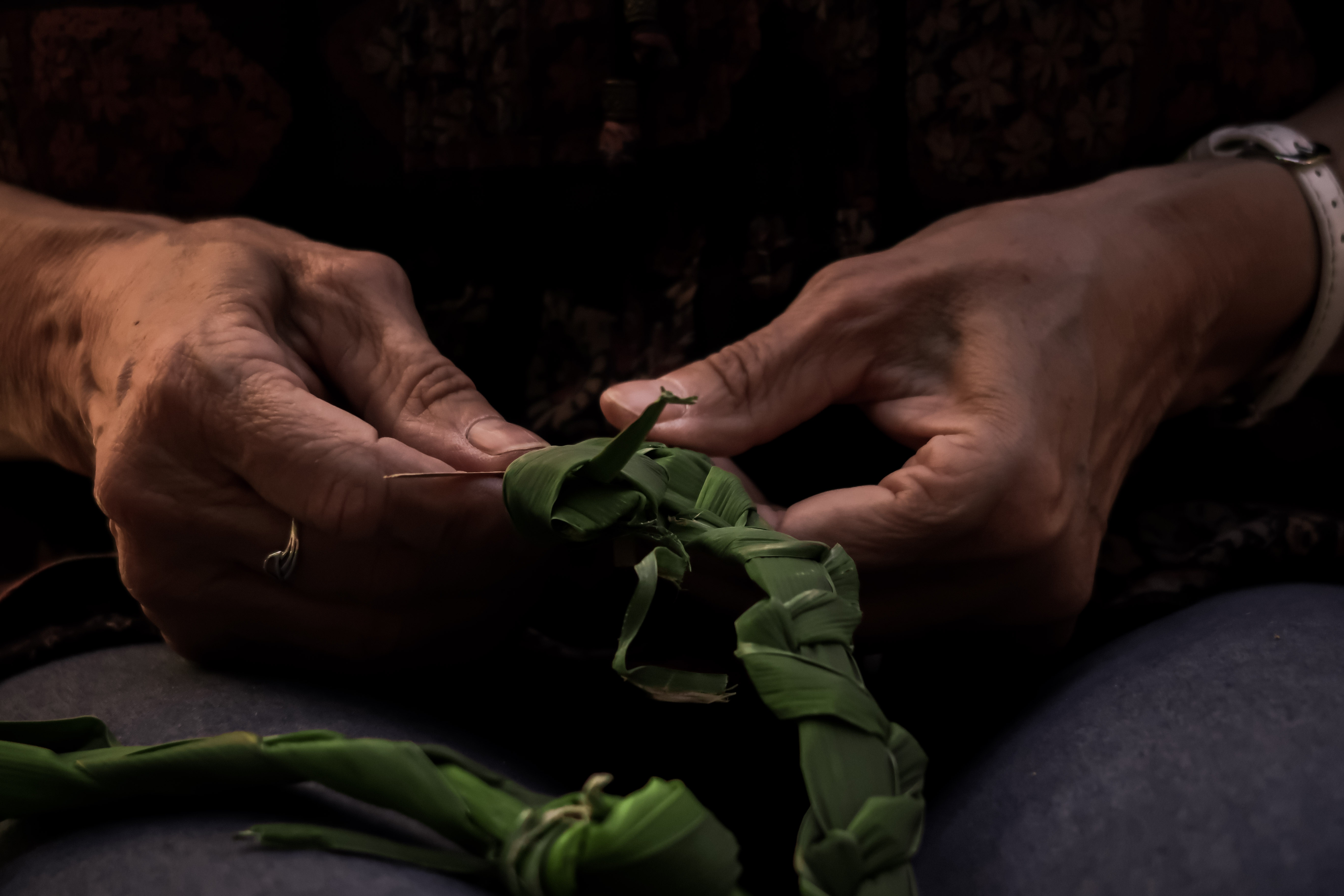 Découverte plantes sauvages pour la vannerie