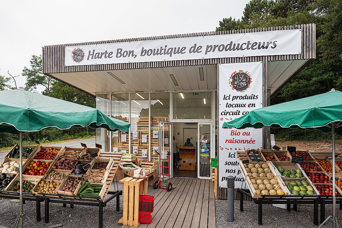 Harte Bon