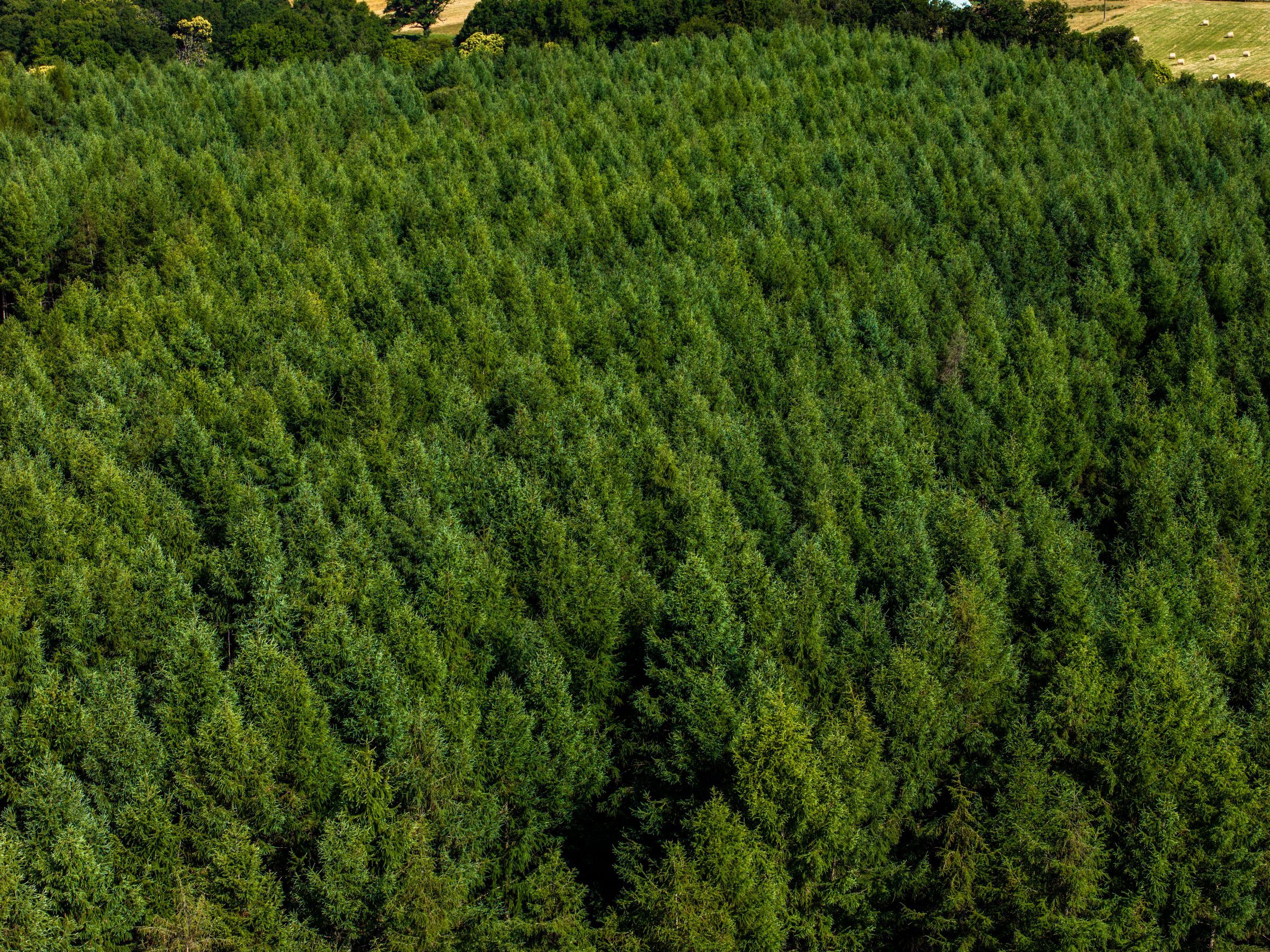 Le Mas du Loup — Forests & Nature Parks à Haute-Vienne