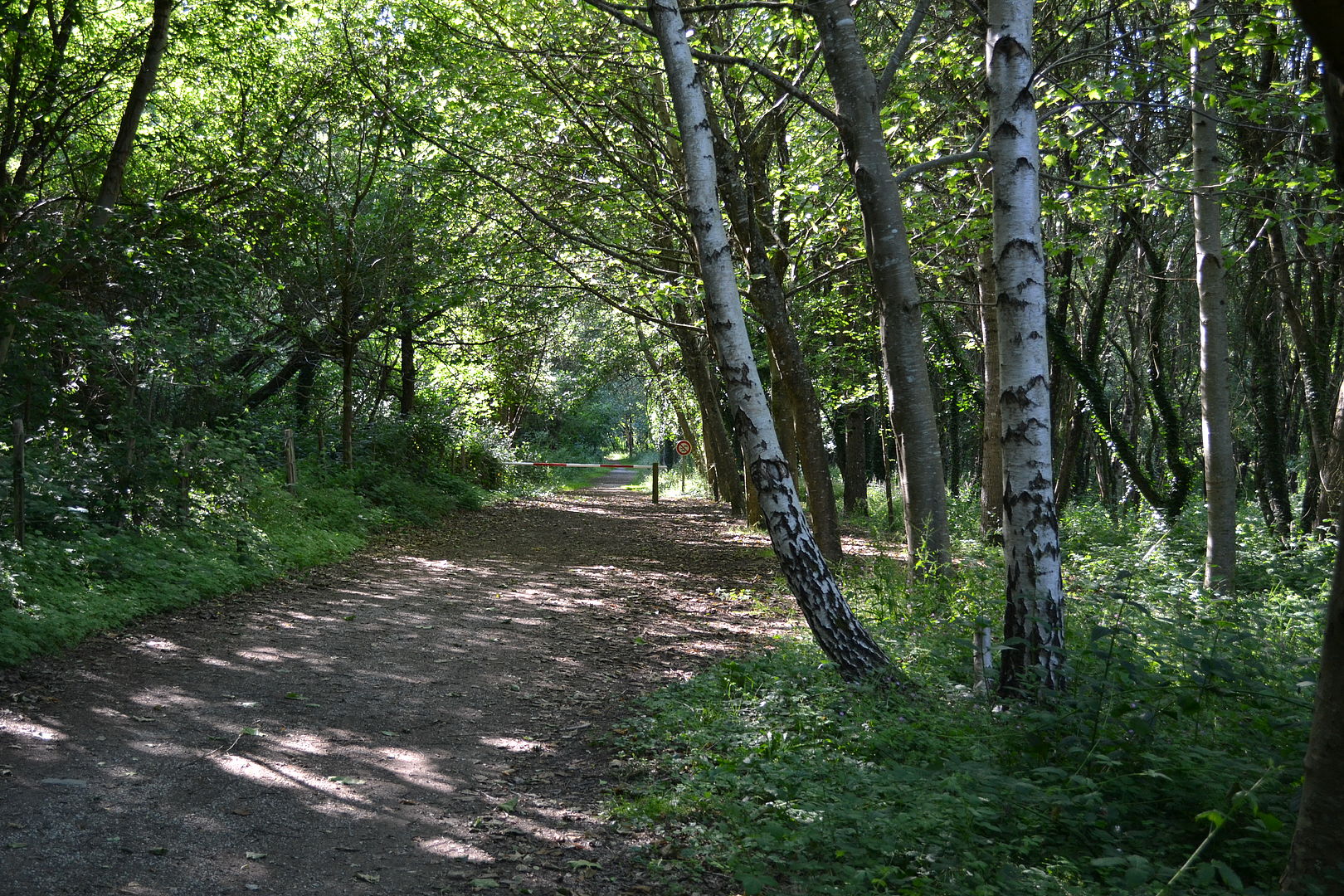 Forêt domaniale de Secondigny, Secondigny