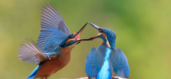 Journée immersive en famille : La rentrèe nature